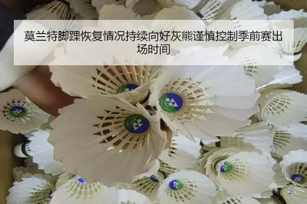 莫兰特脚踝恢复情况持续向好灰熊谨慎控制季前赛出场时间